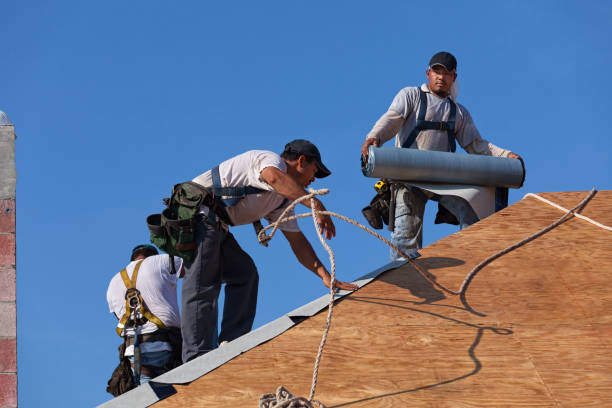 Best Roof Gutter Cleaning  in Oakland, NJ
