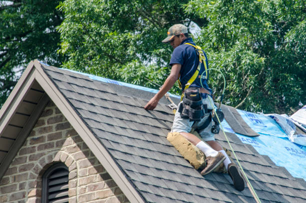 Best Gutter Installation and Roofing  in Oakland, NJ